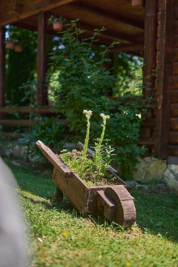 Country House Brijest Kolašin Εξωτερικό φωτογραφία